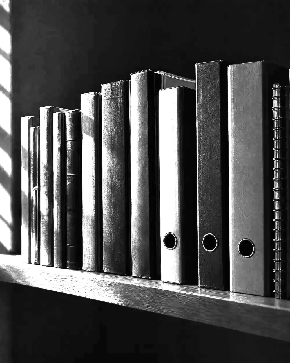 Regalbrett mit gebundenen Handbüchern und Ordnern mit leeren Rücken im harten Seitenlicht